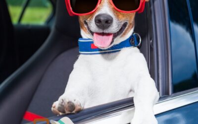 En route mauvaise troupe