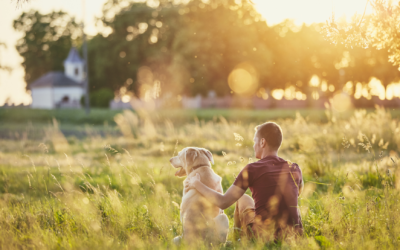 Belle & Heureuse Année 2022