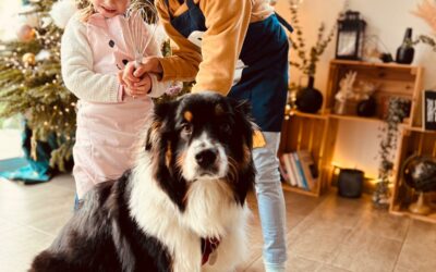 Quelle race est encore élue ” Préférée des Francais” ?