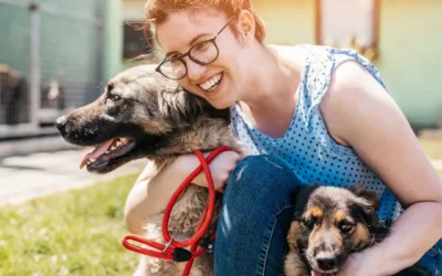 Adopter son chien en refuge, bonne chose ou pas ?