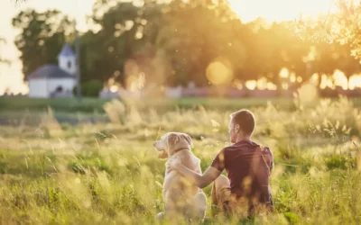 Quelle éducation pour son chien ?