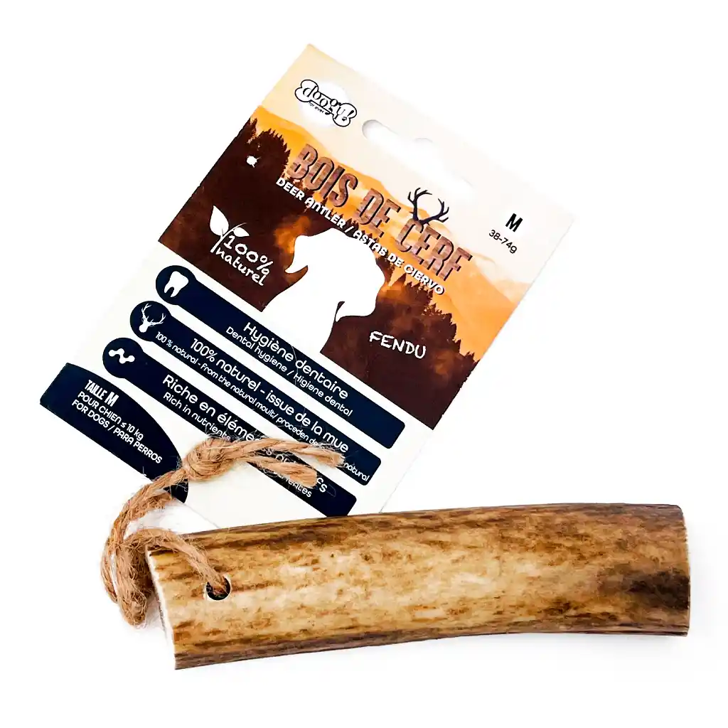 Bois de cerf naturel pour chien d’environ 10 kg, friandise à ronger pour l’hygiène dentaire, 100% naturel issu de la mue