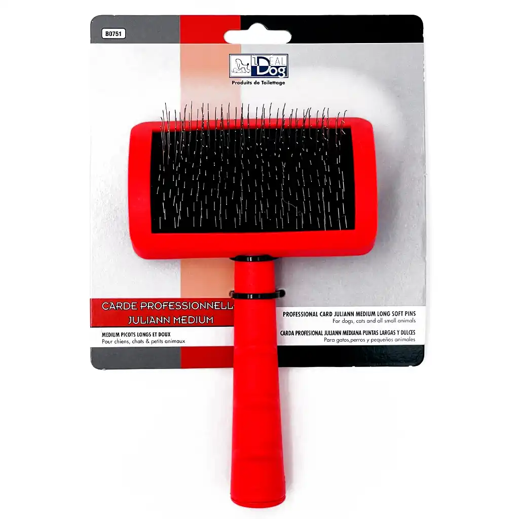 Carde de toilettage JULIANN médium avec picots standards de 1,5 cm pour démêlage du pelage