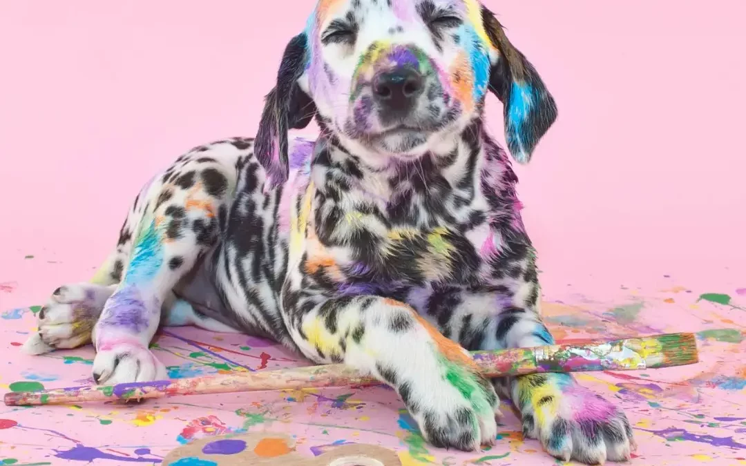 Oups mon chien a fait une bêtise !