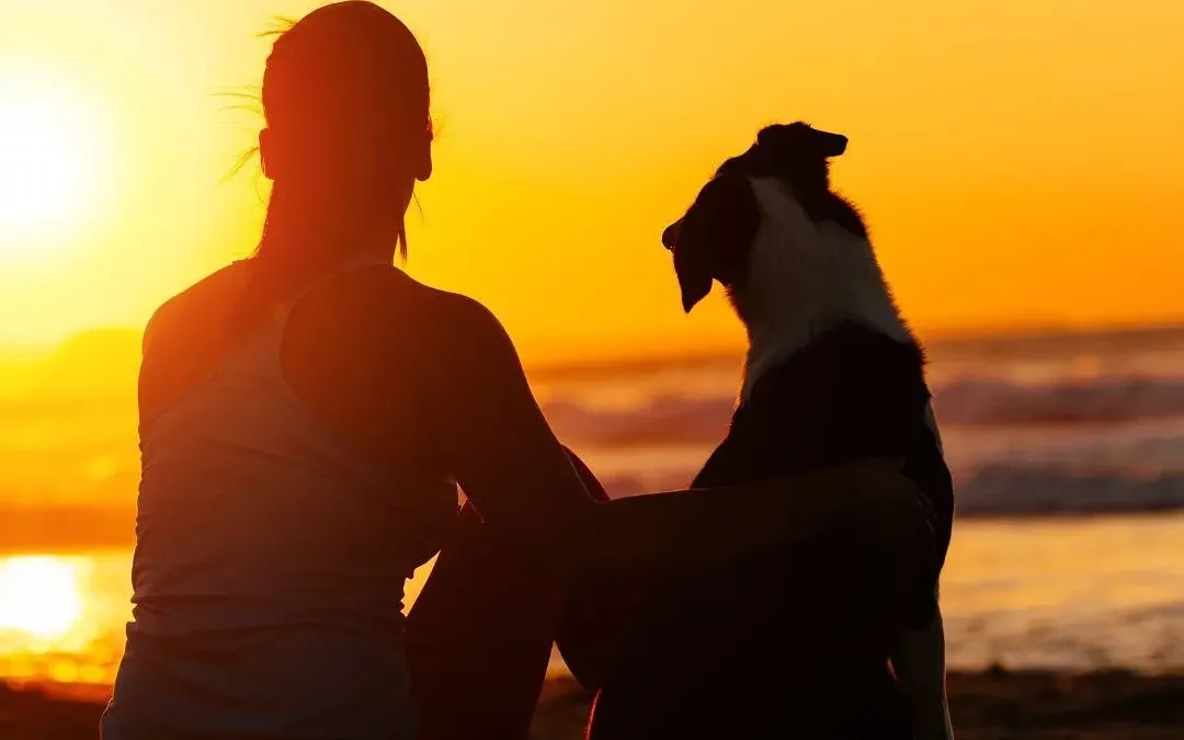 Printemps et Chien, que faut-il savoir ? 