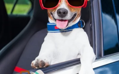 En route mauvaise troupe