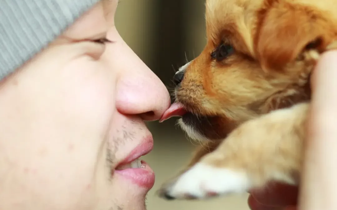 Chiot léchant le nez de son maître pour illustrer l’éducation positive