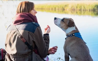 Pourquoi est-ce si important de communiquer avec son chien ?