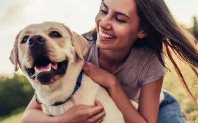 Comment rafraichir son chien ?